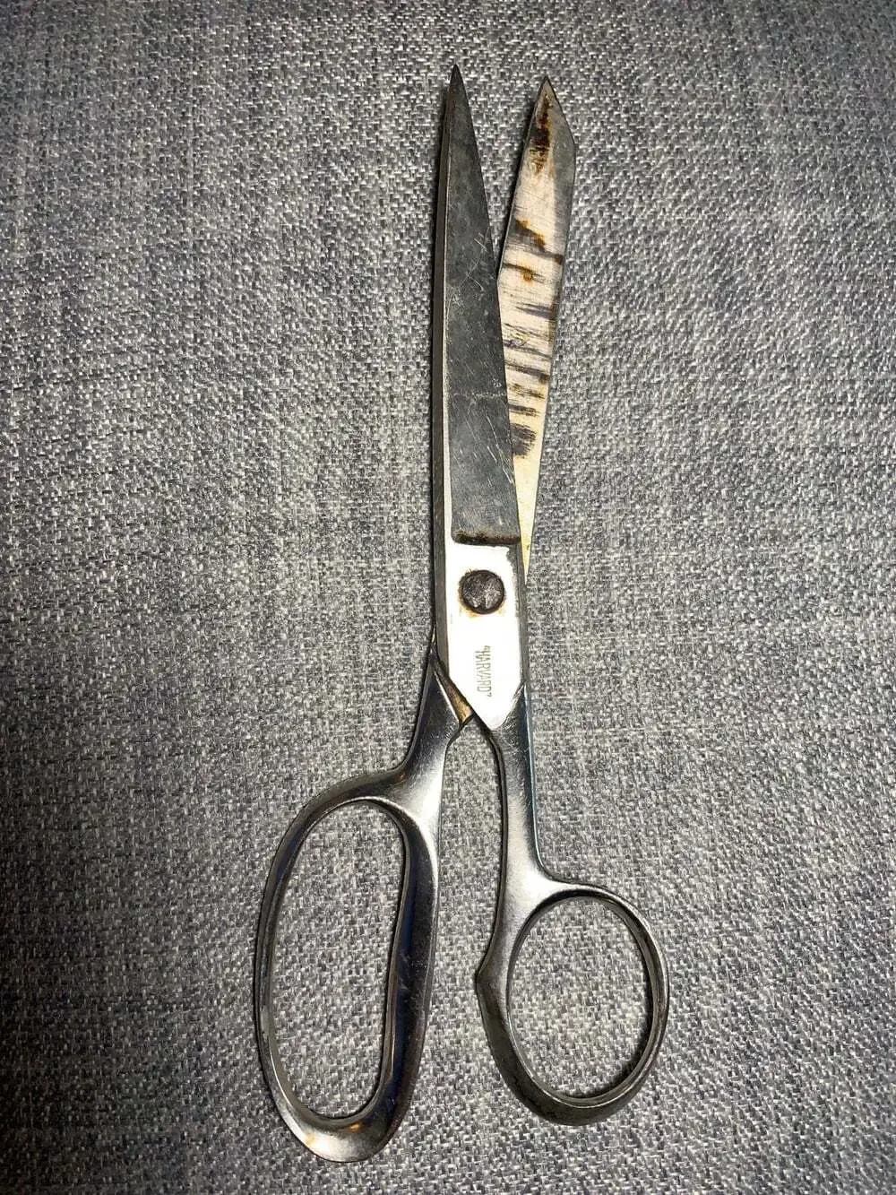 Antique Shears Scissors